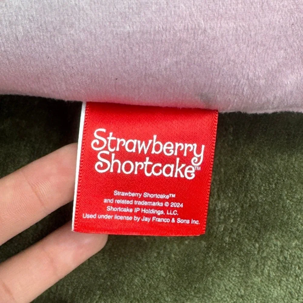 Strawberry Shortcake Pink Plush Decorative Throw Pillow Retro 2024 Jay Franco